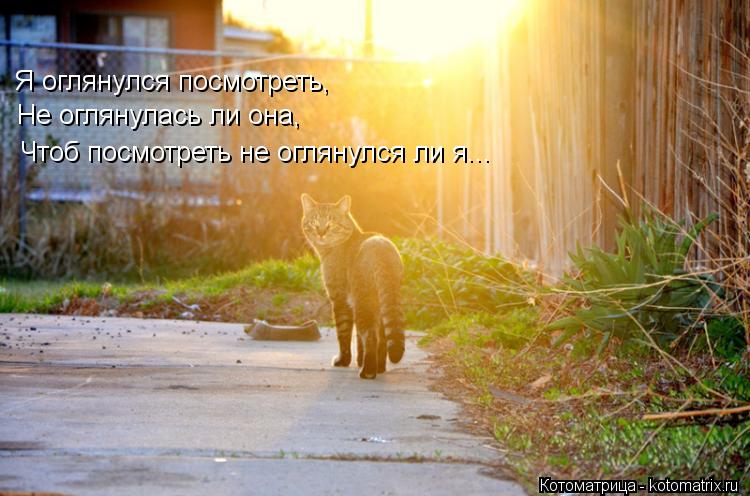 Я оглянулся посмотреть, Не оглянулась ли она, Чтоб посмотреть не оглянулся ли я...... Котоматрица: Я оглянулся посмотреть, Не оглянулась ли она, Чтоб посмотреть не оглянулся ли я...