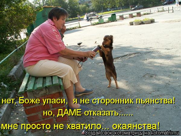 нет, Боже упаси, я не сторонник пьянства! но, ДАМЕ отказать...... мне просто не хватило... окаянства... Котоматрица: нет, Боже упаси, я не сторонник пьянства! но, ДАМЕ отказать...... мне просто не хватило... окаянства!