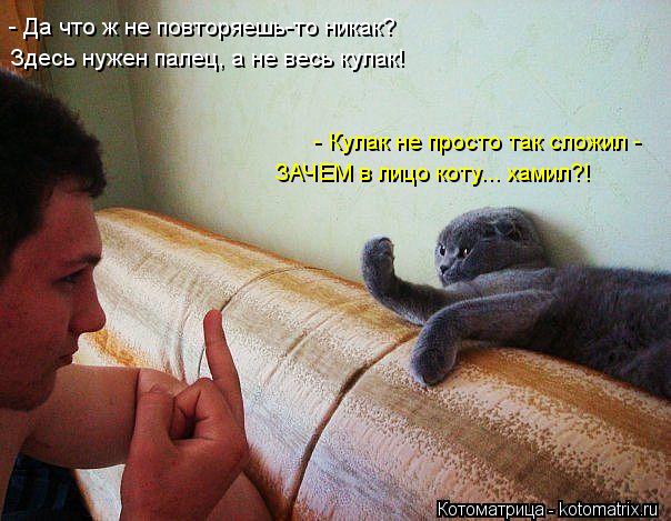 Здесь нужен палец, а не весь кулак! - Да что ж не повторяешь-то никак? ЗАЧЕМ в лицо коту... хамил?! -... Котоматрица: Здесь нужен палец, а не весь кулак! - Да что ж не повторяешь-то никак? ЗАЧЕМ в лицо коту... хамил?! - Кулак не просто так сложил -