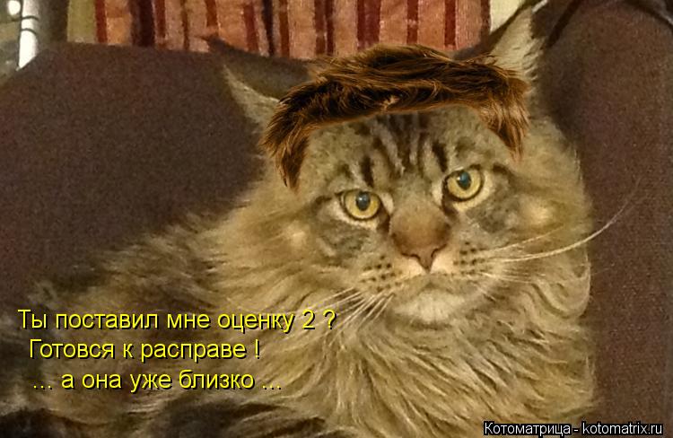 Ты поставил мне оценку 2 ? Готовся к расправе ! ... а она уже близко ...... Котоматрица: Ты поставил мне оценку 2 ? Готовся к расправе ! ... а она уже близко ...