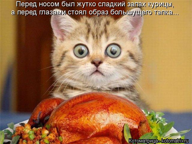 Перед носом был жутко сладкий запах курицы, а перед глазами стоял образ большущего тапка...... Котоматрица: Перед носом был жутко сладкий запах курицы, а перед глазами стоял образ большущего тапка...