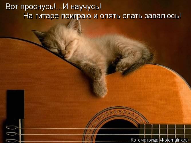 Вот проснусь!... Вот проснусь!...И научусь! На гитаре поиграю и опять спать завалюсь!... Котоматрица: Вот проснусь!... Вот проснусь!...И научусь! На гитаре поиграю и опять спать завалюсь!