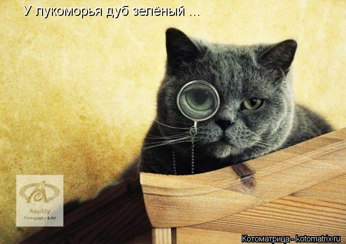 У лукоморья дуб зелёный ...... Котоматрица: У лукоморья дуб зелёный ...