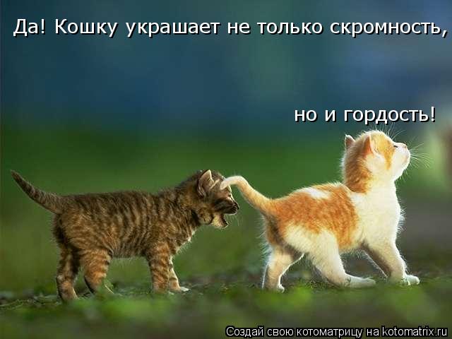 Да! Кошку украшает не только скромность, но и гордость!... Котоматрица: Да! Кошку украшает не только скромность, но и гордость!