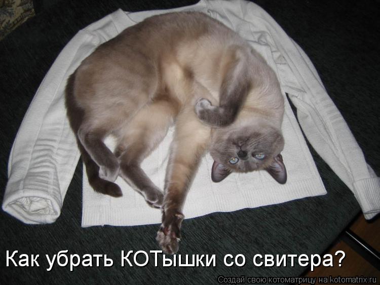 Как убрать КОТышки со свитера?... Котоматрица: Как убрать КОТышки со свитера?
