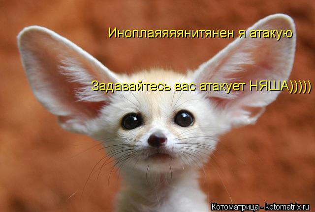 Иноплаяяяянитянен я атакую Задавайтесь вас атакует НЯША)))))... Котоматрица: Иноплаяяяянитянен я атакую Задавайтесь вас атакует НЯША)))))