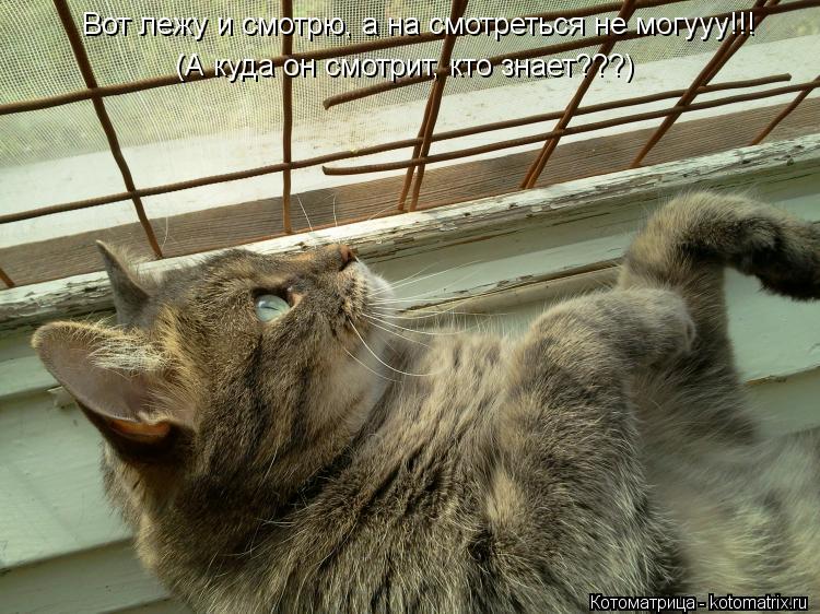 Котоматрица: Вот лежу и смотрю, а на смотреться не могууу!!! (А куда он смотрит, кто знает???)
