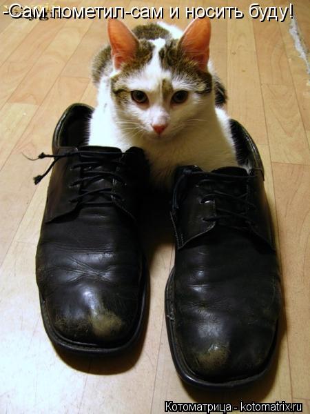 Котоматрица: -Сам пометил-сам и носить буду!
