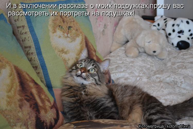 И в заключении рассказа о моих подружках,прошу вас рассмотреть их портреты на подушках!... Котоматрица: И в заключении рассказа о моих подружках,прошу вас рассмотреть их портреты на подушках!