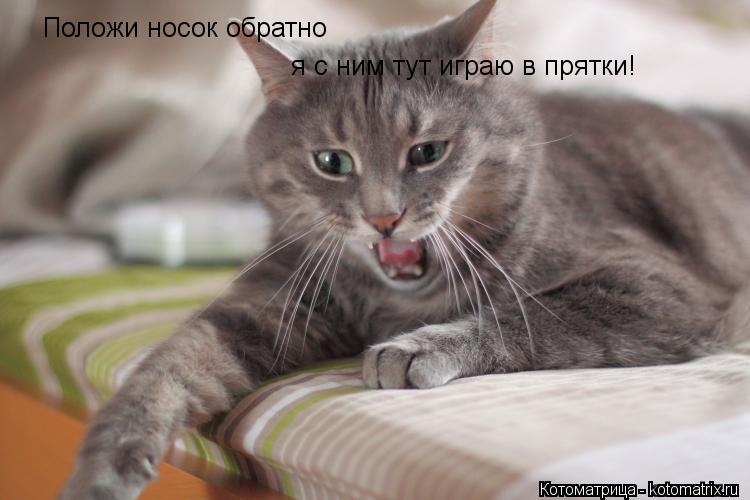 Котоматрица: Положи носок обратно я с ним тут играю в прятки!