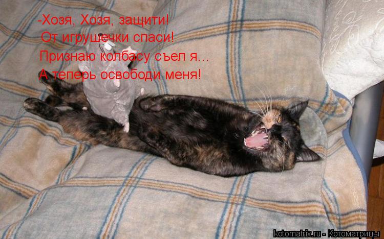 -Хозя, Хозя, защити! От игрушечки спаси! Признаю колбасу съел я... А теперь освободи меня!... Котоматрица: -Хозя, Хозя, защити! От игрушечки спаси! Признаю колбасу съел я... А теперь освободи меня!