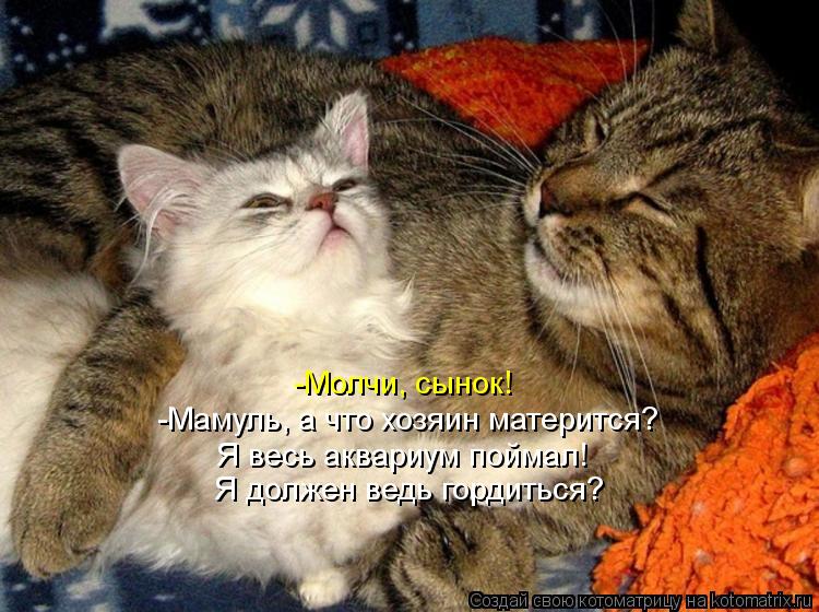 Котоматрица: -Молчи, сынок! -Мамуль, а что хозяин матерится? Я весь аквариум поймал! Я должен ведь гордиться?