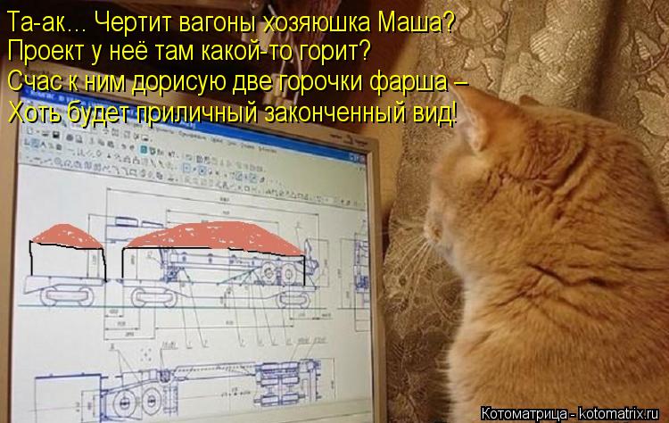 Котоматрица: Та-ак… Чертит вагоны хозяюшка Маша? Проект у неё там какой-то горит? Счас к ним дорисую две горочки фарша –  Хоть будет приличный законченны