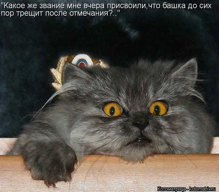 Котоматрица: "Какое же звание мне вчера присвоили,что башка до сих пор трещит после отмечания?.."
