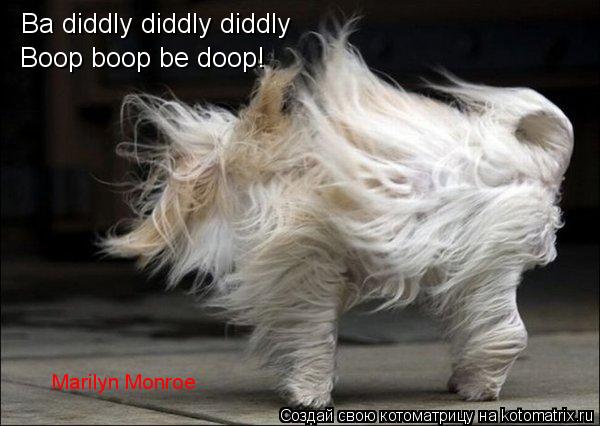 Котоматрица: Ba diddly diddly diddly Boop boop be doop! Marilyn Monroe