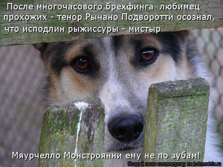 После многочасового брехфинга любимец прохожих - тенор Рычано Подворотти осознал, что исподлин рыжис... Котоматрица: После многочасового брехфинга любимец прохожих - тенор Рычано Подворотти осознал, что исподлин рыжиссуры - мистыр Мяурчелло Монстроянни е