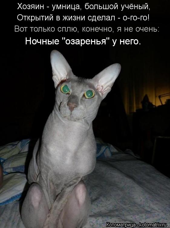 Хозяин - умница, большой учёный, Открытий в жизни сделал - о-го-го! Вот только сплю, конечно, я не оч... Котоматрица: Хозяин - умница, большой учёный, Открытий в жизни сделал - о-го-го! Вот только сплю, конечно, я не очень: Ночные "озаренья" у него.