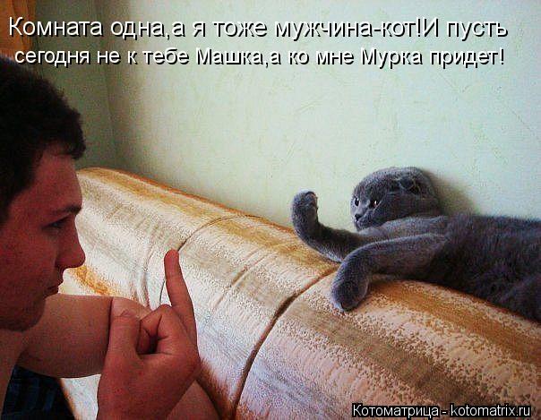 Комната одна,а я тоже мужчина-кот!И пусть сегодня не к тебе Машка,а ко мне Мурка придет!... Котоматрица: Комната одна,а я тоже мужчина-кот!И пусть сегодня не к тебе Машка,а ко мне Мурка придет!