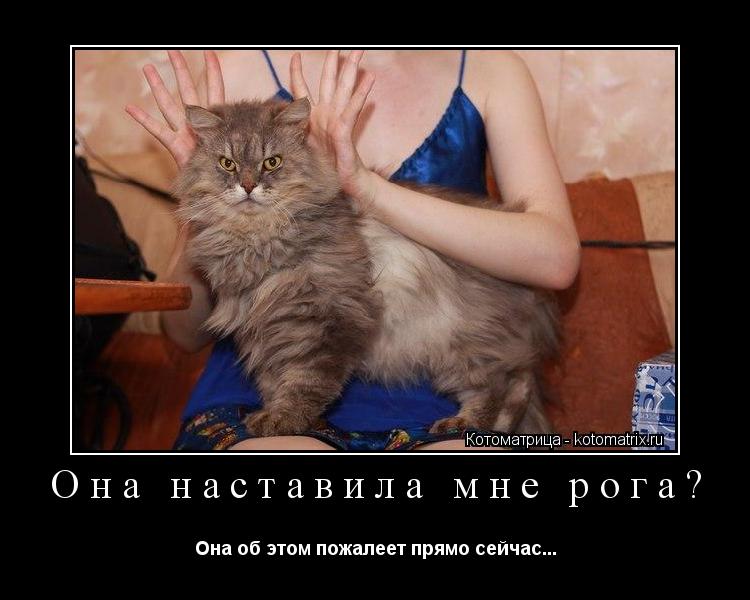 Она наставила мне рога? Она об этом пожалеет прямо сейчас...... Котоматрица: Она наставила мне рога? Она об этом пожалеет прямо сейчас...