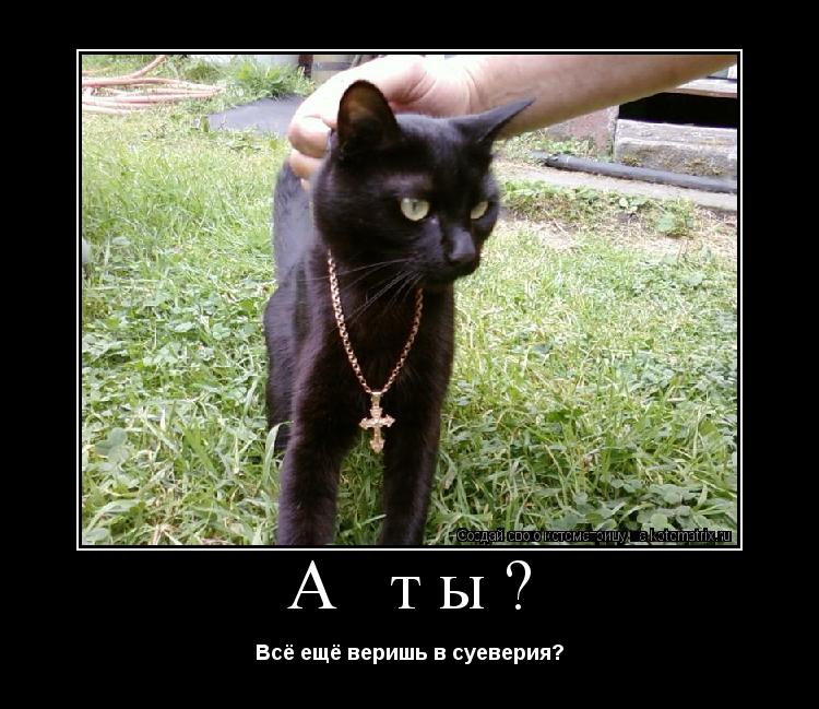 А ты? Всё ещё веришь в суеверия?... Котоматрица: А ты? Всё ещё веришь в суеверия?