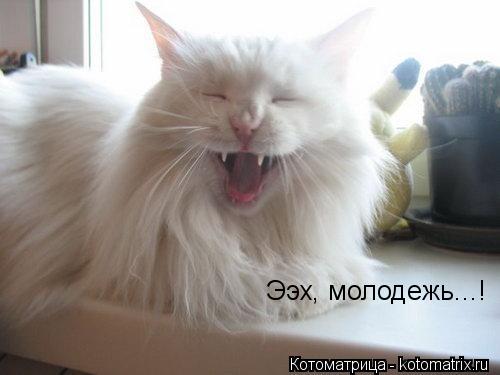 Ээх, молодежь...!... Котоматрица: Ээх, молодежь...!