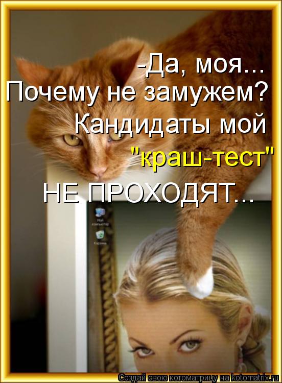 НЕ ПРОХОДЯТ... Кандидаты мой "краш-тест" Почему не замужем? -Да, моя...... Котоматрица: НЕ ПРОХОДЯТ... Кандидаты мой "краш-тест" Почему не замужем? -Да, моя...