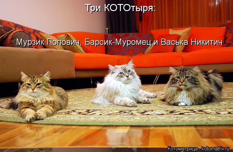 Три КОТОтыря: Мурзик Попович, Барсик-Муромец и Васька Никитич... Котоматрица: Три КОТОтыря: Мурзик Попович, Барсик-Муромец и Васька Никитич