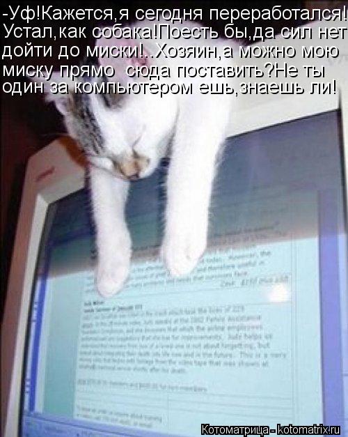 -Уф!Кажется,я сегодня переработался! Устал,как собака!Поесть бы,да сил нет дойти до миски!..Хозяин,а ... Котоматрица: -Уф!Кажется,я сегодня переработался! Устал,как собака!Поесть бы,да сил нет дойти до миски!..Хозяин,а можно мою миску прямо сюда поставить?Не