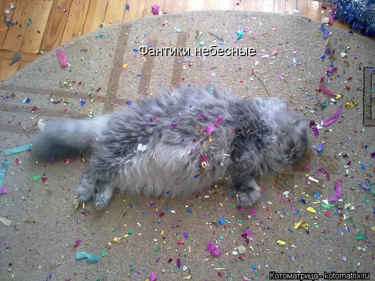 Фантики небесные... Котоматрица: Фантики небесные