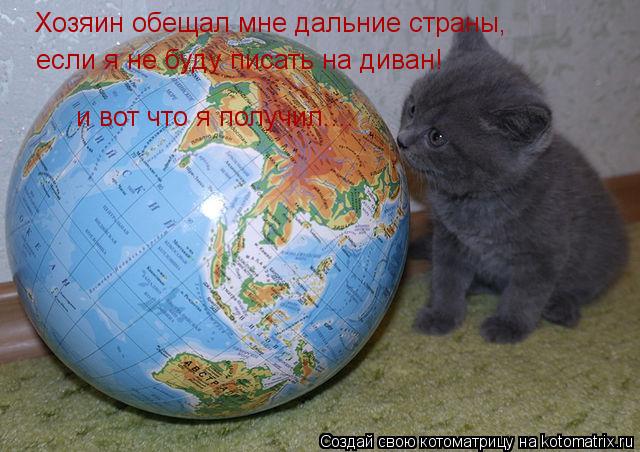 Хозяин обещал мне дальние страны, если я не буду писать на диван! и вот что я получил....... Котоматрица: Хозяин обещал мне дальние страны, если я не буду писать на диван! и вот что я получил....