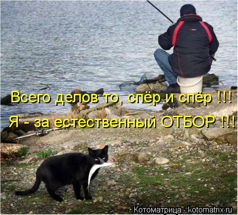Всего делов то, спёр и спёр !!! Я - за естественный ОТБОР !!!... Котоматрица: Всего делов то, спёр и спёр !!! Я - за естественный ОТБОР !!!