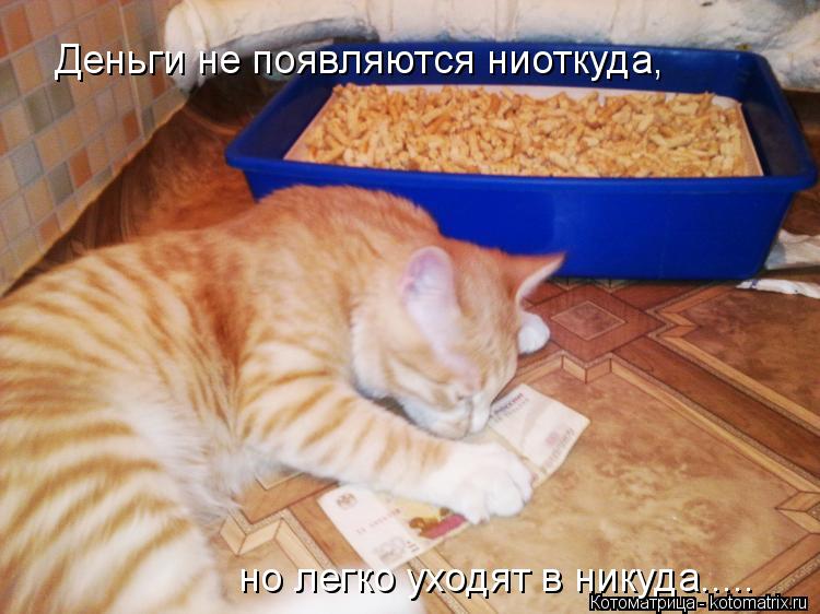 Деньги не появляются ниоткуда, но легко уходят в никуда........ Котоматрица: Деньги не появляются ниоткуда, но легко уходят в никуда.....