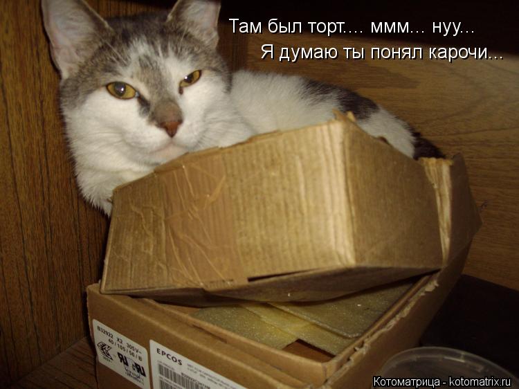 Там был торт.... ммм... нуу... Я думаю ты понял карочи...... Котоматрица: Там был торт.... ммм... нуу... Я думаю ты понял карочи...
