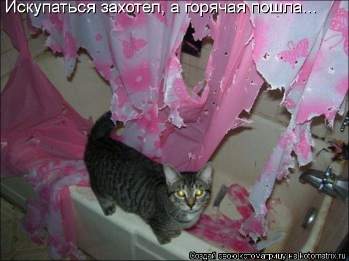 Искупаться захотел, а горячая пошла...... Котоматрица: Искупаться захотел, а горячая пошла...