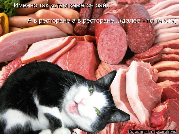 Именно так котам кажется рай... А в ресторане,а в ресторане...(далее - по тексту)... Котоматрица: Именно так котам кажется рай... А в ресторане,а в ресторане...(далее - по тексту)