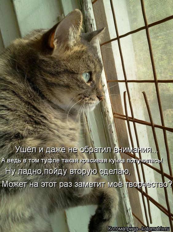 Ушёл и даже не обратил внимания... А ведь в том туфле такая красивая кучка получилась! Ну ладно,пойду... Котоматрица: Ушёл и даже не обратил внимания... А ведь в том туфле такая красивая кучка получилась! Ну ладно,пойду вторую сделаю, Может на этот раз заметит