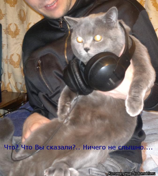 Что? Что Вы сказали?.. Ничего не слышно....... Котоматрица: Что? Что Вы сказали?.. Ничего не слышно....