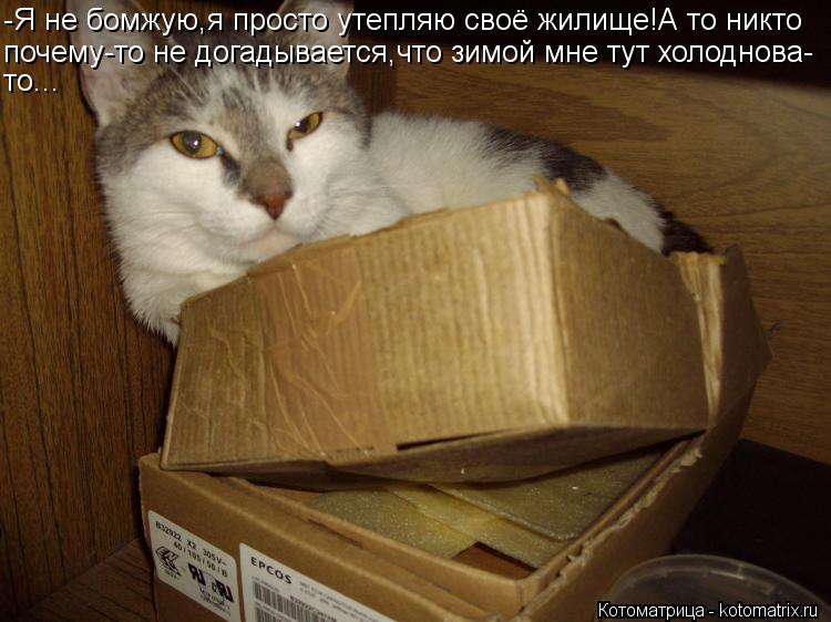 -Я не бомжую,я просто утепляю своё жилище!А то никто почему-то не догадывается,что зимой мне тут холо... Котоматрица: -Я не бомжую,я просто утепляю своё жилище!А то никто почему-то не догадывается,что зимой мне тут холоднова- то...