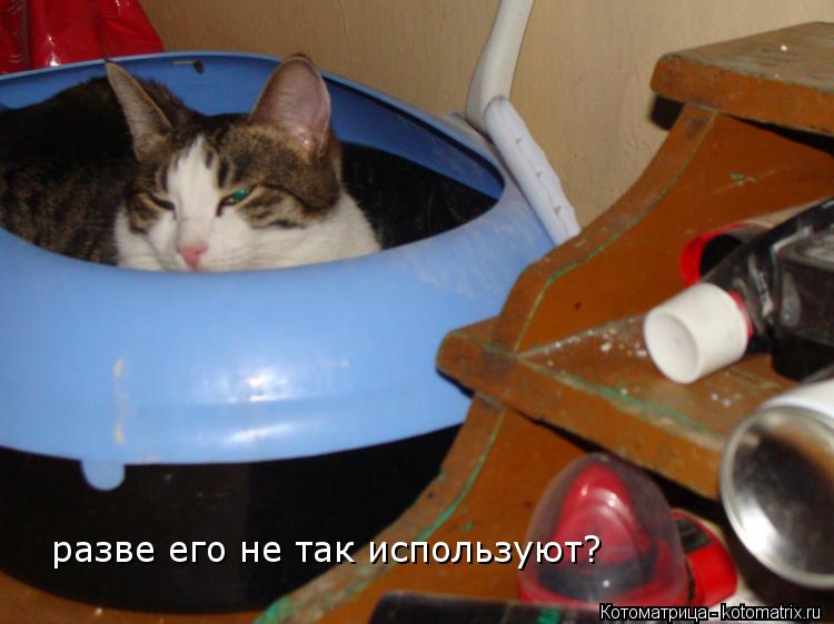 разве его не так используют?... Котоматрица: разве его не так используют?