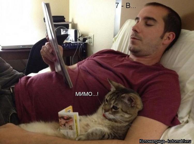 7 - В... МИМО...!... Котоматрица: 7 - В... МИМО...!