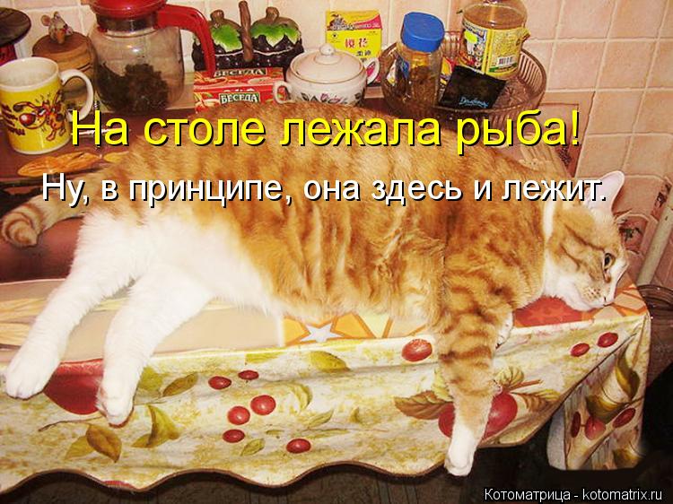 На столе лежала рыба! Ну, в принципе, она здесь и лежит.... Котоматрица: На столе лежала рыба! Ну, в принципе, она здесь и лежит.