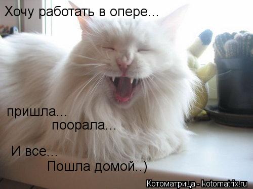 Хочу работать в опере... пришла... поорала... И все... Пошла домой..)... Котоматрица: Хочу работать в опере... пришла... поорала... И все... Пошла домой..)
