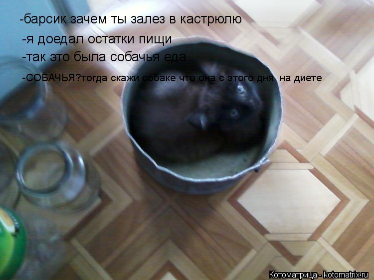 -барсик зачем ты залез в кастрюлю -я доедал остатки пищи -так это была собачья еда -СОБАЧЬЯ?тогда ска... Котоматрица: -барсик зачем ты залез в кастрюлю -я доедал остатки пищи -так это была собачья еда -СОБАЧЬЯ?тогда скажи собаке что она с этого дня на диете