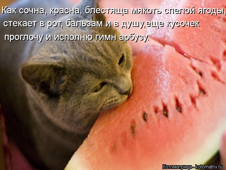 Как сочна, красна, блестяща мякоть спелой ягоды, стекает в рот, бальзам и в душу,еще кусочек проглоч... Котоматрица: Как сочна, красна, блестяща мякоть спелой ягоды, стекает в рот, бальзам и в душу,еще кусочек проглочу и исполню гимн арбузу.