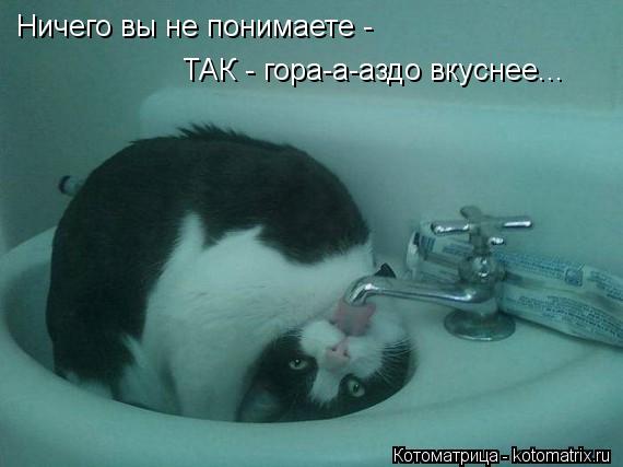 Ничего вы не понимаете - ТАК - гора-а-аздо вкуснее...... Котоматрица: Ничего вы не понимаете - ТАК - гора-а-аздо вкуснее...