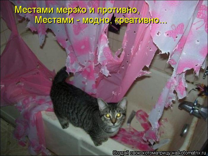 Местами мерзко и противно, Местами - модно, креативно...... Котоматрица: Местами мерзко и противно, Местами - модно, креативно...