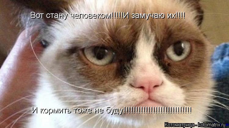 Вот стану человеком!!!!!И замучаю их!!!! И кормить тоже не буду!!!!!!!!!!!!!!!!!!!!!!!!!!!!... Котоматрица: Вот стану человеком!!!!!И замучаю их!!!! И кормить тоже не буду!!!!!!!!!!!!!!!!!!!!!!!!!!!!
