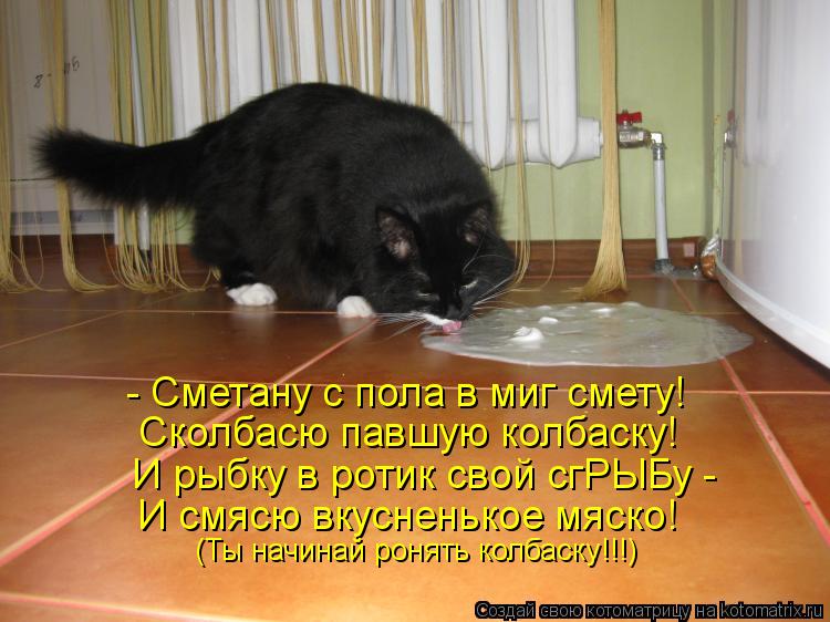 - Сметану с пола в миг смету! Сколбасю павшую колбаску! И рыбку в ротик свой сгРЫБу - И смясю вкусне... Котоматрица: - Сметану с пола в миг смету! Сколбасю павшую колбаску! И рыбку в ротик свой сгРЫБу - И смясю вкусненькое мяско! (Ты начинай ронять колбаску!!!)