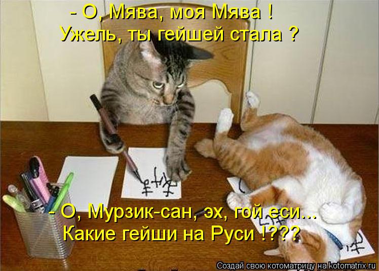 Котоматрица: - О, Мява, моя Мява ! Ужель, ты гейшей стала ? - О, Мурзик-сан, эх, гой еси... Какие гейши на Руси !???