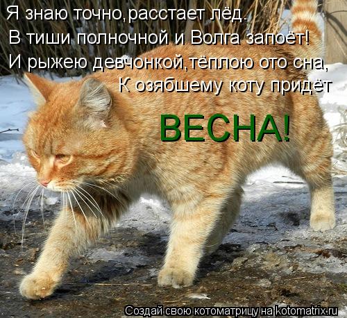 Я знаю точно,расстает лёд. В тиши полночной и Волга запоёт! И рыжею девчонкой,тёплою ото сна, К озябш... Котоматрица: Я знаю точно,расстает лёд. В тиши полночной и Волга запоёт! И рыжею девчонкой,тёплою ото сна, К озябшему коту придёт ВЕСНА!